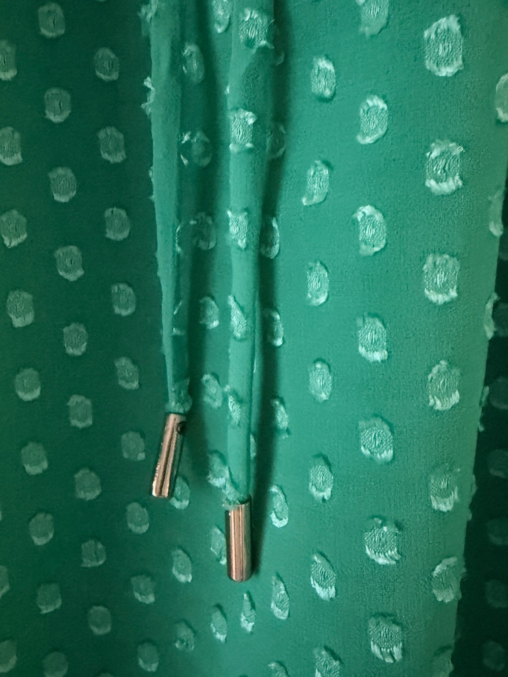 Dora Landa Green Textured Dot Chiffon Blouse - Picture 6 of 6